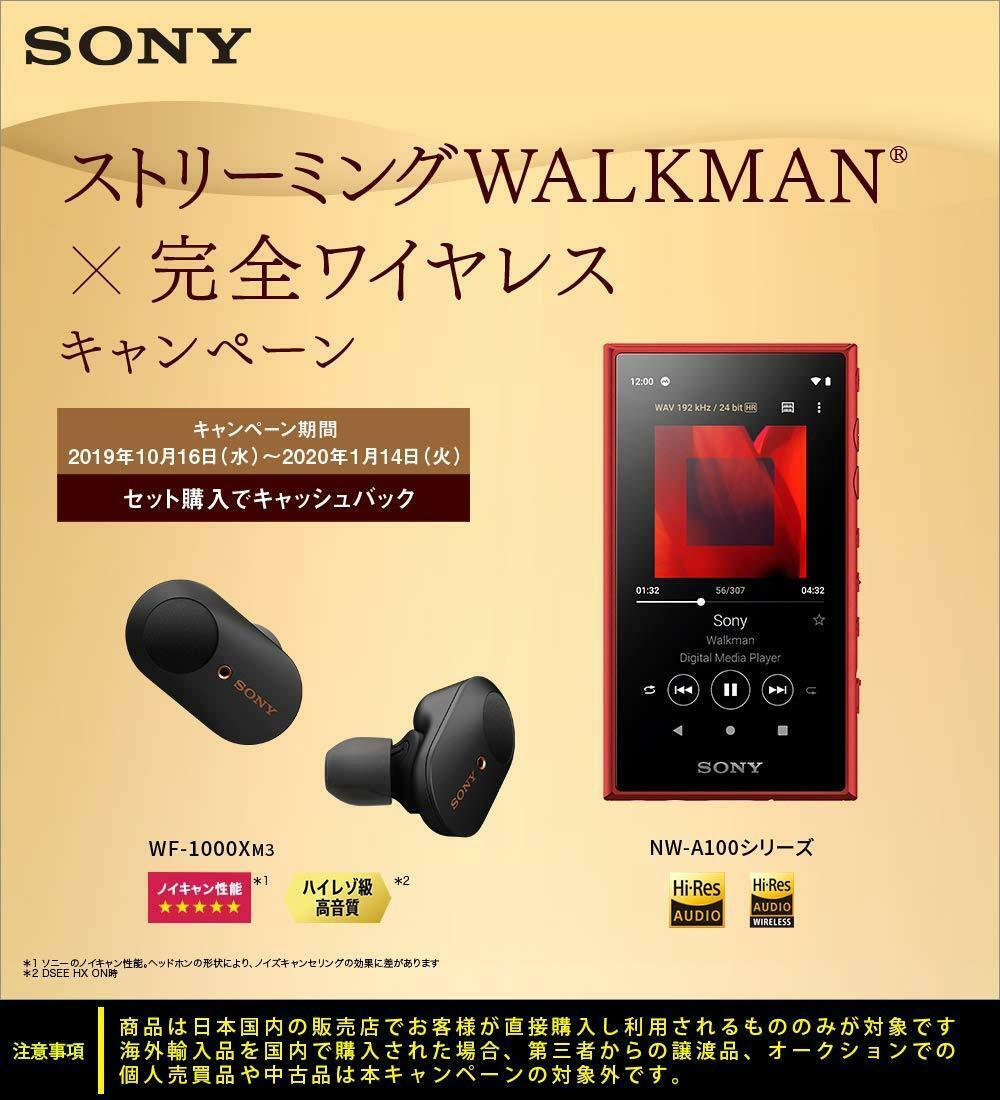 ソニー ウォークマン 32GB Aシリーズ NW-A106 ハイレゾ対応 MP3