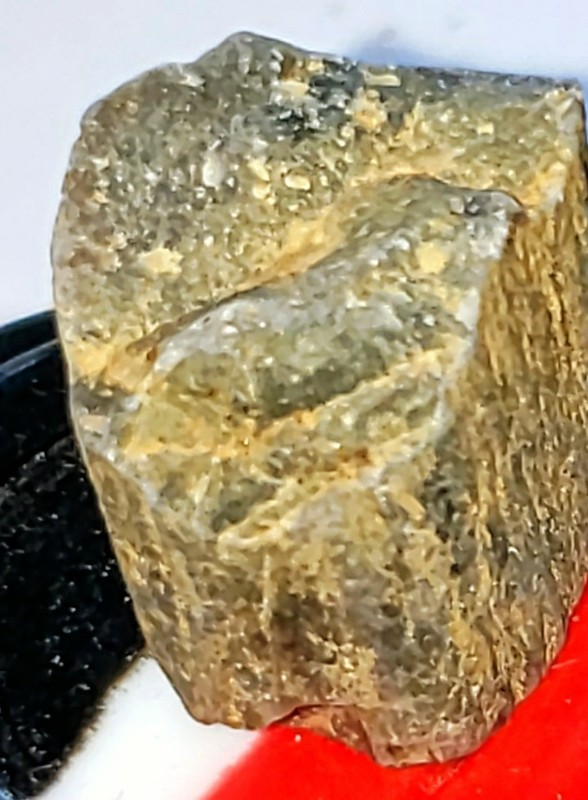 Small Petrified Wood Unpolished Speciman ( Chakra Heal )