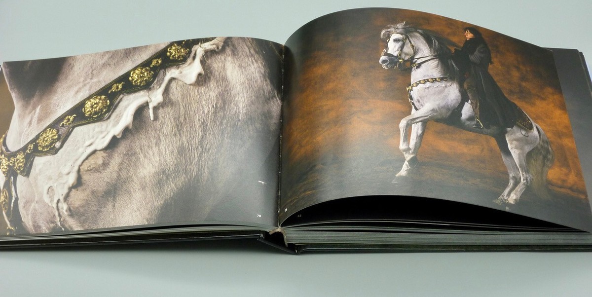 Horses by Jean-Louis Gouraud and Yann Arthus-Bertrand from 2008