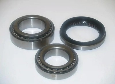 Radlager Vorderachse beidseitig 44-11003 ASHIKA für NISSAN PATROL GR IV
