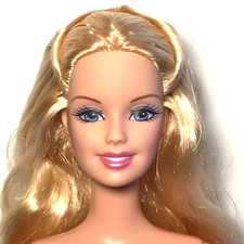 Nude Barbie Swan Lake Odette & The Swan Set Blonde Purple Eyes B5828 Doll