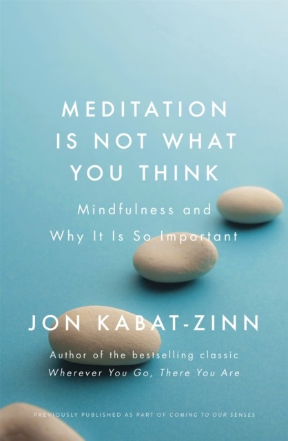 Meditation is Not What You Think: Mindfulness and Why It Is So Important - Image 3