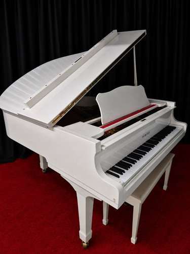 White Yamaha G1 1980, Pristine Condition, 5'3" *WARRANTY* (SEE VIDEO)