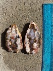 CA Cady Mountains Plume agate slabs rough cabbing matched pair flame moss Mojave — photo 3