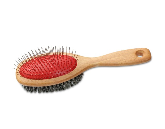 pin brush for dogs