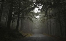 Landscape nature mist forest road hills morning trees Custom Gaming Mat Desk