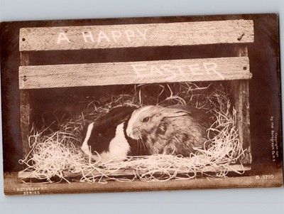 c1907 Two Cute Bunnies A Happy Easter Rotograph RPPC Real Photo Postcard