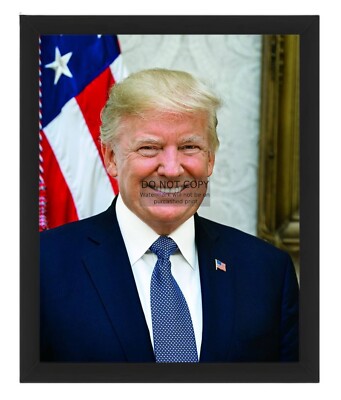 PRESIDENT DONALD TRUMP OFFICIAL PORTRAIT 8X10 FRAMED PHOTOGRAPH | eBay