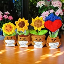 Piantine ad uncinetto con messaggio di incoraggiamento varietà regalo bomboniera