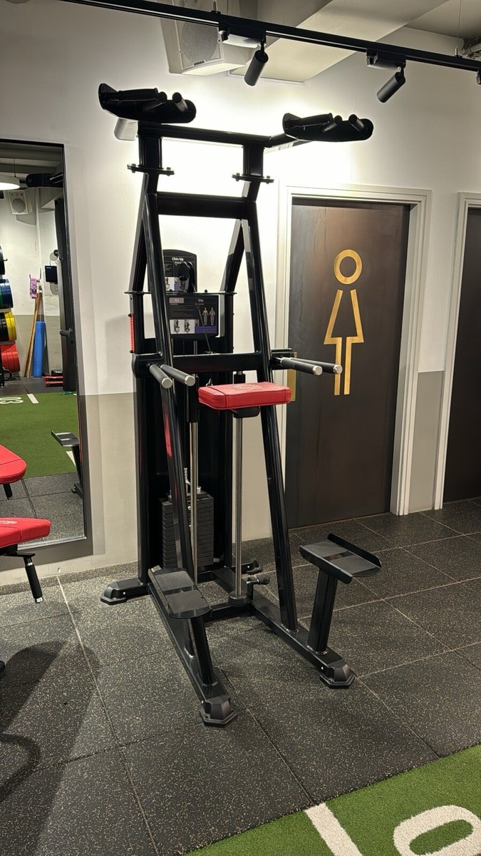 Celsius Vr1 Vertical Vertical Knee Raise System Gym Set Rebel