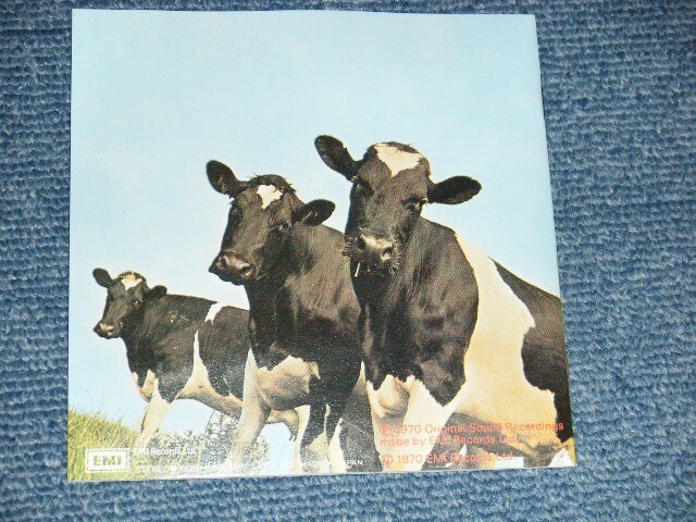 Foto 5 di 9