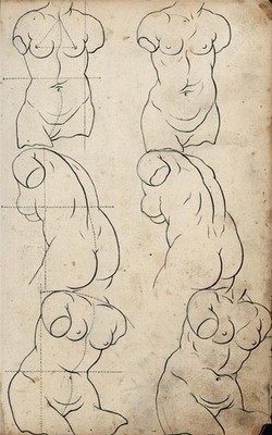 Bengt Frokenberg (1776-1845) Feder & Tusche Zeichnung 18. Jahrhundert Anatomische Studien