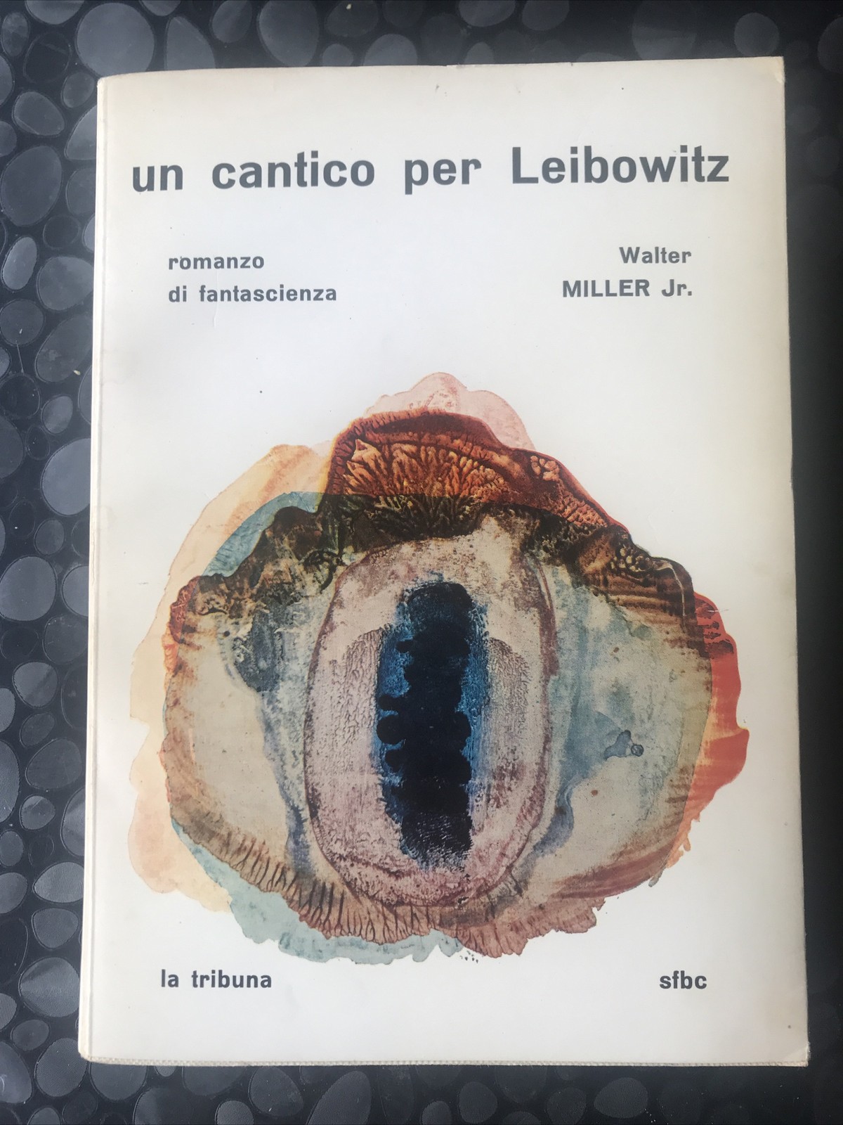 Foto 1 di 9