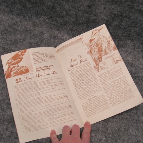 25 ben noti Pennsylvania Birds vintage PA gioco commissione libretto tono seppia - Foto 3 di 4