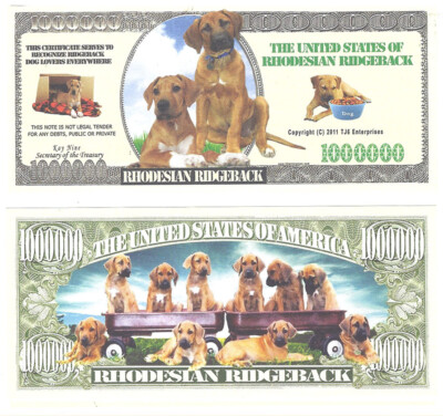 Dollar Rhodesian Ridgeback One Million Doggie Bones