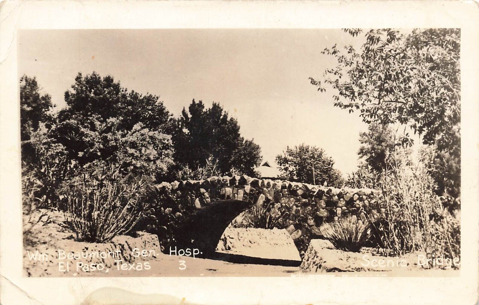 Foto 1 di 2