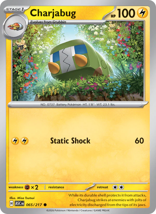 Charjabug 65/217 Common | Ascended Heroes | Pokemon Card