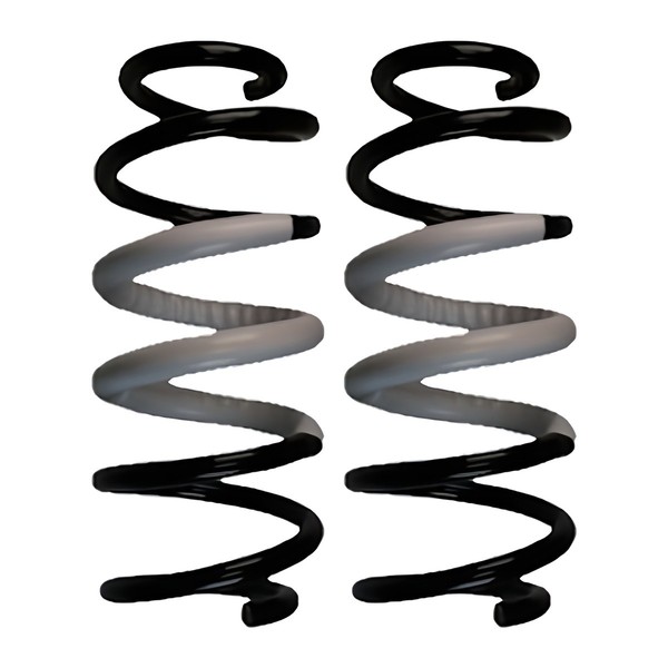 Fahrwerksfedern-Set Hinten Schraubenfeder Ø127Mm Spidan FüR U.A. Toyota RAV-image