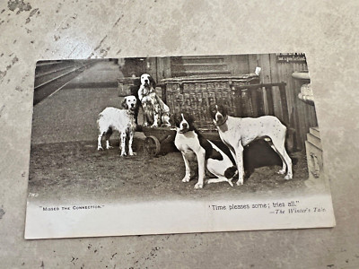 Missed The Connection Four Dogs Time Pleases Some Tries All Postcard