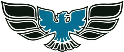 #ad #ad Black and Blue Front Bumper Bird Decal For 1970 1972 Pontiac Firebird Trans AM $29.98