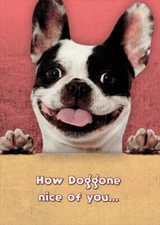 Designer Greetings Doggone Nice of You Funny / Humorous Thank You Card