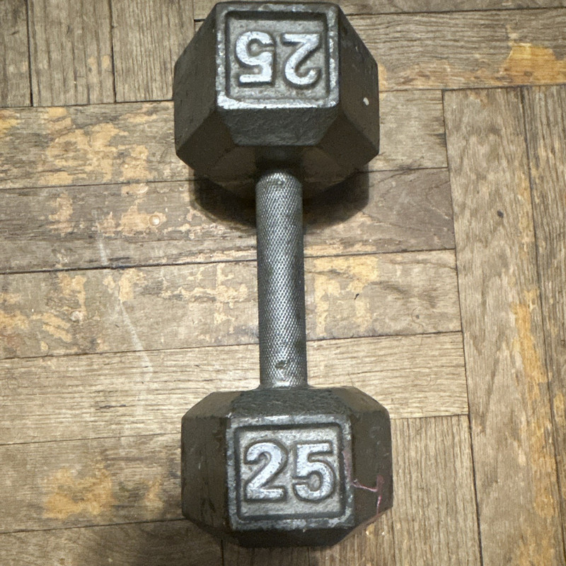 25 lb Hex Dumbbell Fixed Weight Metal Knurled Handle Black/Silver