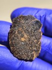 NWA 14922 Mesosiderite Meteorite 3.790g Part Slice Rare Stony-Iron w/ COA — photo 4