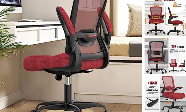 Office Chair, Ergonomic Desk Chair with Adjustable Lumbar Support, High Back