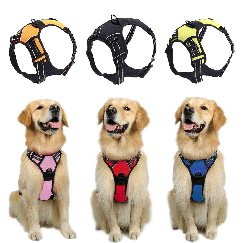 rabbitgoo harness instructions