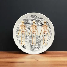 Sourpuss 9” Porcelain Plate - Human Anatomy Decorative Skeleton Anatomical Rare