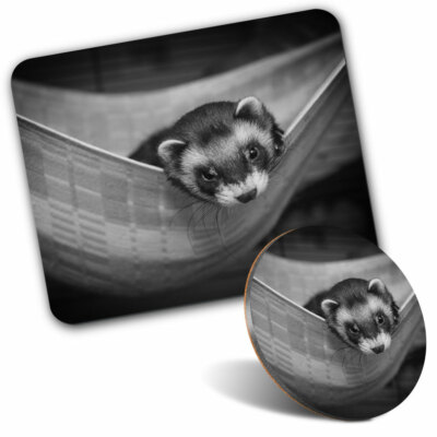 ferret hammock set