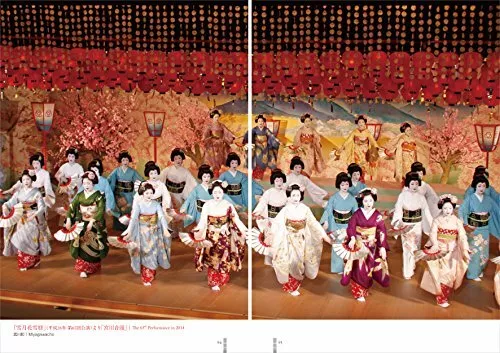Kyoto Hanamachi kagai Maiko Geisha Kimono photo Book Hiroshi Mizobuchi Japan - Picture 11 of 16