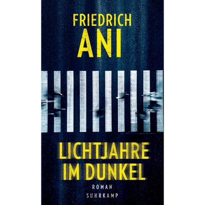 Lichtjahre im Dunkel: Roman | Ein Wiedersehen mit Tabor Süden und Fariza Na ...