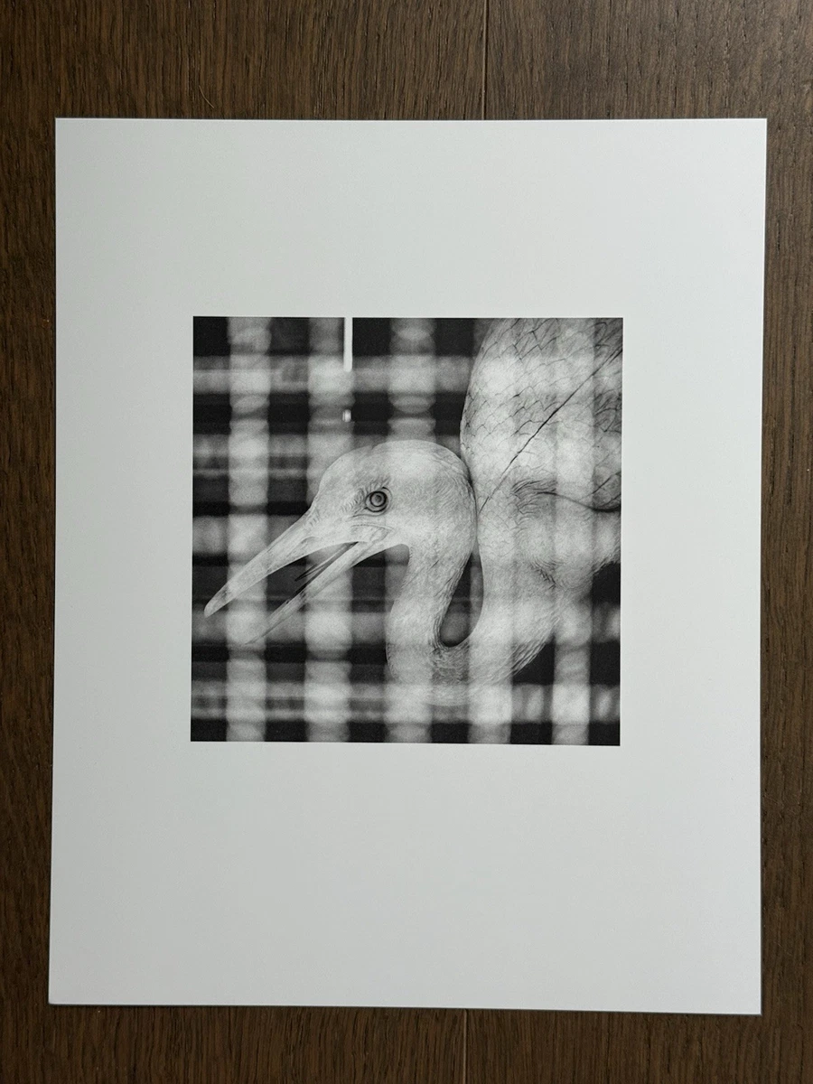 michael kenna products for sale | eBay