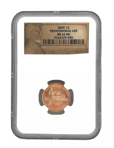 2009-P  Lincoln Professional Life SMS BRONZE Bicentennial Penny 1C NGC MS66RD
