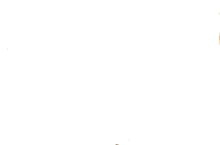 FLORES Y PLANTAS multicolor telas artesanales geométrica