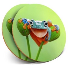 2 x Coasters - Happy Tree Frog Wild Amazon Peru  #45295