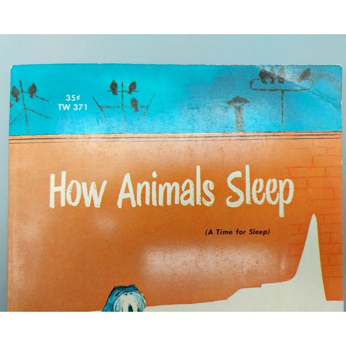 456_洋書/絵本「Animals Sleeping」 456_洋書/絵本「Animals Sleeping」 - メルカリ