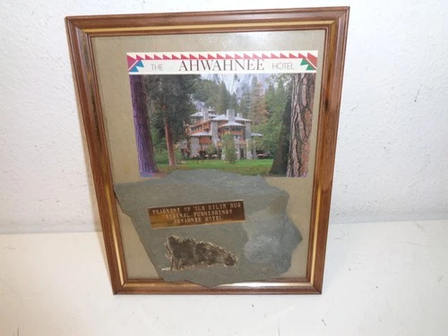 Ahwahnee Hotel Yosemite Kilim Rug Framgement from Original Furnishings