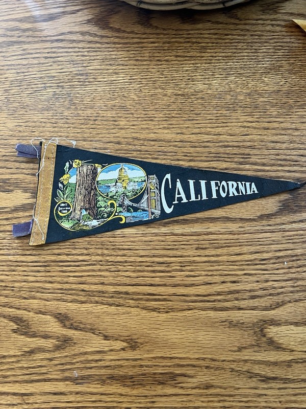Antique California- Giant Redwood Tree Pennant