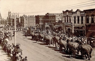 Newton Kansas Circus Elephants On Main Street RPPC Photo Postcard COPY