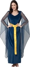 Women's Renaissance Medieval Ren Faire Hooded Lace-Up Velvet Dress