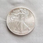 2013 - AMERICAN EAGLE - One Dollar - .999 1oz Fine Silver