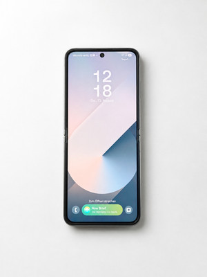 Samsung Galaxy Z Flip6 256GB Shadow Silver  Neuwertig   Galaxy AI