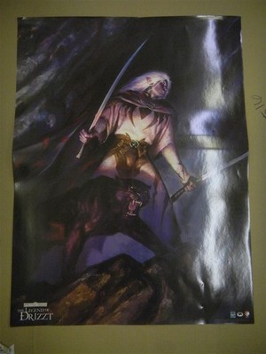 FORGOTTEN REALMS LEGEND OF DRIZZT 18 X 24 COMIC PROMO POSTER HASBRO DDP 2007 NEW