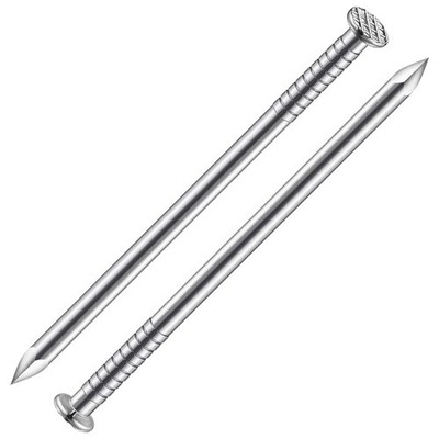 100 PCS 2 Inch Stainless Steel 304 Nails Hanging Wall Dowels Long Hardware