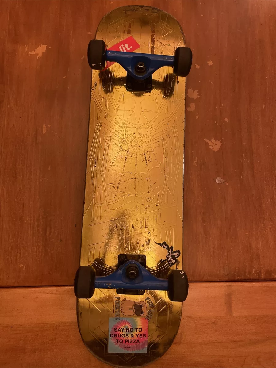 Shane longboards 2024