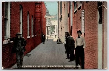 Postcard A Sanitary Alley In Excelsior Springs MO Posted 1917