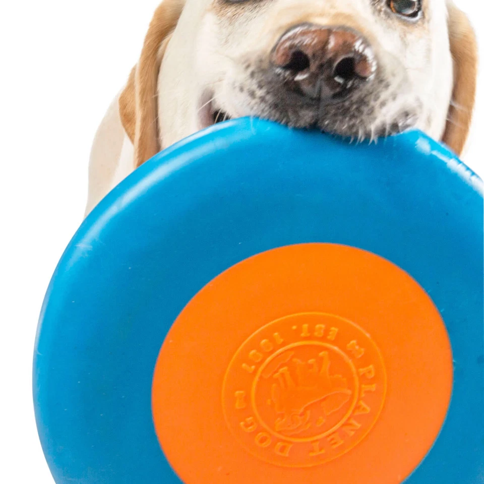 Planet Dog Orbee-Tuff Zoom Flyer blau/orange für Hunde Frisbee Spielzeug - Bild 2 von 2