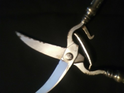 Tiffany and Co Olympian Sterling Handle Poultry Shears 11 1/4" - 第 7/9 張圖片